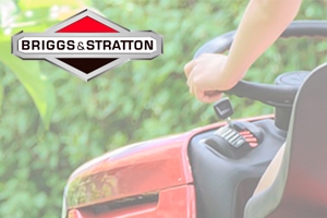 Briggs & Stratton Vind nummer & Model